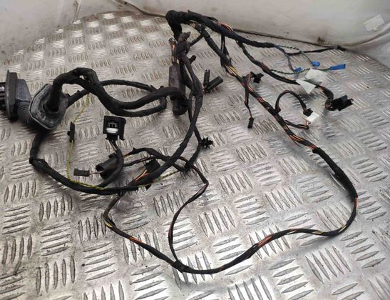 BMW 7 Series F01/F02 (2008-2015) Дверные кабели спереди справа 9234337,9147281 15369743