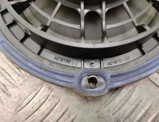 TOYOTA ProAce 2 generation (2016-2023) Priekšējo kreiso durvju skaļrunis 9809320180 29397271