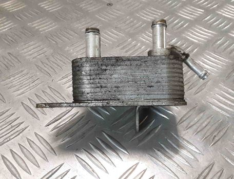 VOLKSWAGEN Touareg 1 generation (2002-2010) Degvielas dzesētājs (radiators) 7L6203491A 28413162