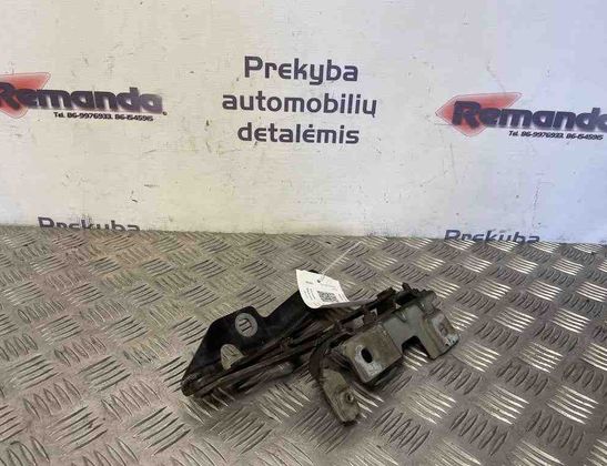 OPEL Insignia A (2008-2016) Priekšējā kreisā pārsega eņģe 12841600 31607072