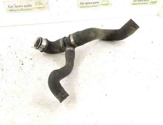 MERCEDES-BENZ M-Class W164 (2005-2011) Dzesēšanas šļauka / truba DALYS,1645011182,A1645011182 27147267