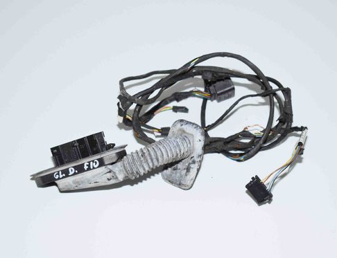 BMW 5 Series F10/F11 (2009-2017) Дверные кабели задние  правые 9256017 11475295