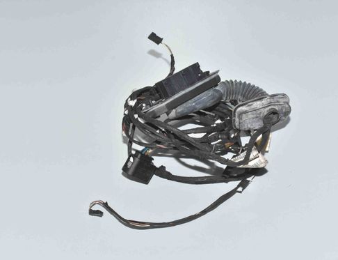 BMW 5 Series F10/F11 (2009-2017) Rear Right Door Wiring 9256017,61129237088,9237088 15005991