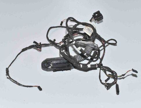 BMW 5 Series F10/F11 (2009-2017) Дверные кабели задние левые 61129237088,9237088,9256017 15005992