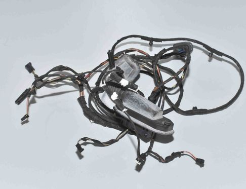 BMW 5 Series F10/F11 (2009-2017) Дверные кабели задние левые 61129237088,9237088,9256017 15005992