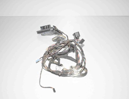 BMW 5 Series Gran Turismo F07 (2010-2017) Дверные кабели спереди справа 61139169241,9169241 17877701