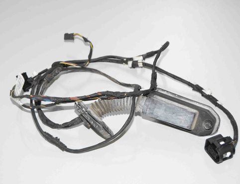 BMW 5 Series F10/F11 (2009-2017) Rear Right Door Wiring 9256017,9237088,61129237088 18141988