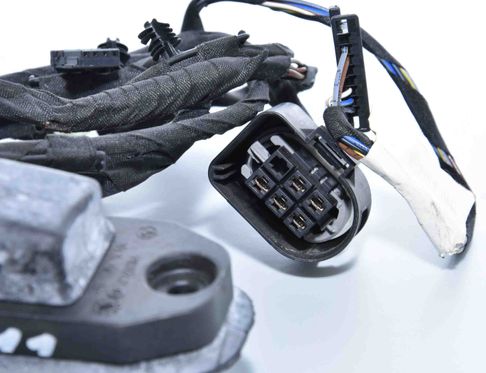 BMW 5 Series F10/F11 (2009-2017) Rear Right Door Wiring 9256017 2389947