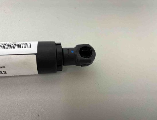 BMW X3 G01 (2017-2024) Aizmugurējā bagāžnieka amartizātors kreisajā pusē 7497482 32059663