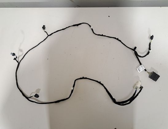 BMW 4 Series G22, G23, G26 (2020-2023) Priekšējo pārking sensoru komplekta vadi 5B40658,5B40655 33009072