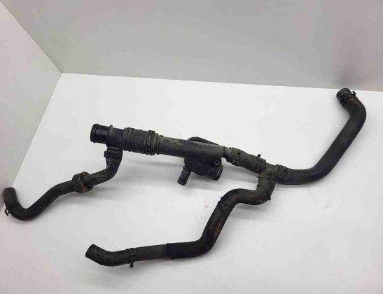 VOLKSWAGEN Golf Plus 1 generation (2004-2009) Termostats 038121132D,1K0121096 32612862