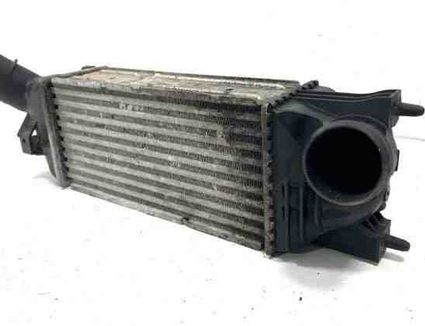 PEUGEOT 407 1 generation (2004-2010) Starpdzesētāja/interkūlera radiators 9645682880,874823NK,IA1095 24733672