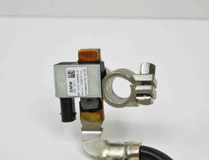 BMW 4 Series F32/F33/F36 (2013-2020) Kлемы аккумулятора 9306405 20217238