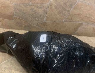 BMW X5 F15 (2013-2018) Autmatic Bootlid Opening Kit 7388490 26016857