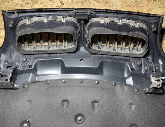 BMW X5 E70 (2006-2013) Bonnet 26313807