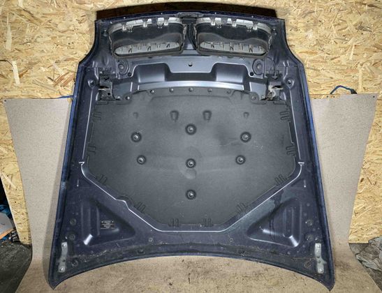 BMW X5 E70 (2006-2013) Bonnet 26313807