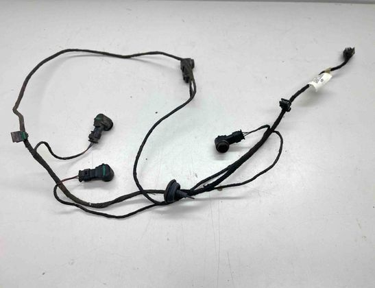 AUDI A6 C7/4G (2010-2020) Aizmugurējo pārking sensoru elektroinstalācija 4G5971085,1s0919275 29828175