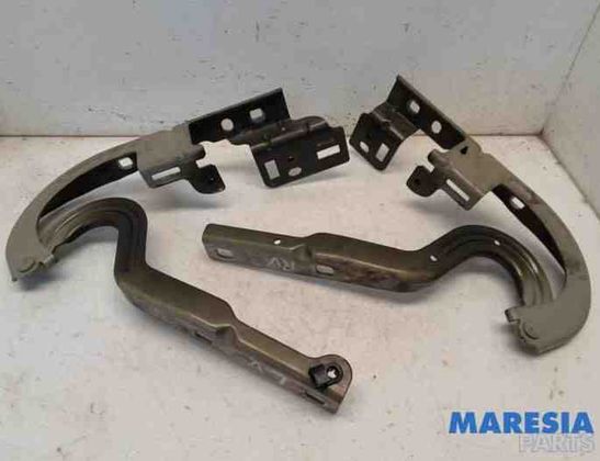 PEUGEOT 3008 1 generation (2010-2016) Priekšējā labā dzinēja pārsega eņģe 7912F4,791347 27295028