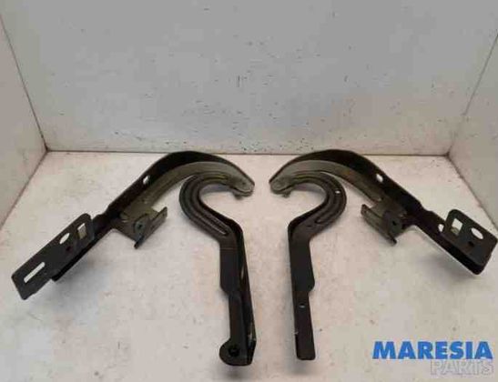 PEUGEOT 3008 1 generation (2010-2016) Priekšējā labā dzinēja pārsega eņģe 7912F4,791347 27295028