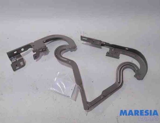 PEUGEOT 3008 1 generation (2010-2016) Priekšējā labā dzinēja pārsega eņģe 7912F4,791347 27390571