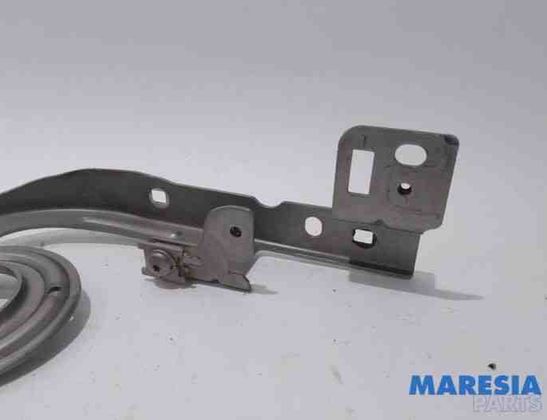 PEUGEOT 3008 1 generation (2010-2016) Priekšējā labā dzinēja pārsega eņģe 7912F4,791347 27390571