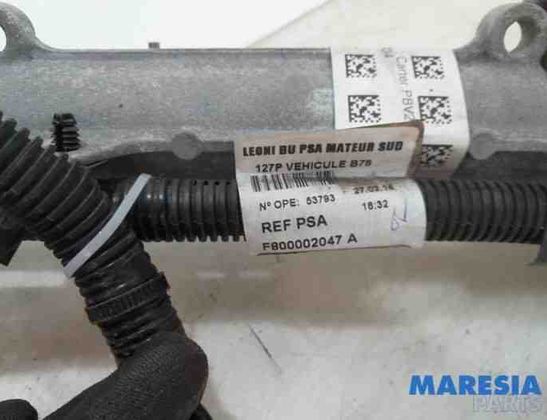 CITROËN C4 Picasso 2 generation (2013-2018) Stūres pastiprinātāja sūknis 1610870080,1622965280,1616341280,1611892580,1611560780,1611561280,1610870180,1611892380,1613710080,1612139280,1617877980,1611560880,1646346980,680000497400,1408310089,1404030255001 28349594