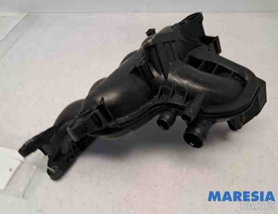 PEUGEOT 3008 1 generation (2010-2016) Другие шланги 0361T0,V759507880,V759507 29313207