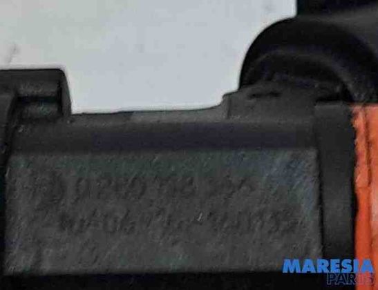 RENAULT Clio 4 generation (2012-2020) Форсунка 166008740R,0280158366,166004787R 30399938