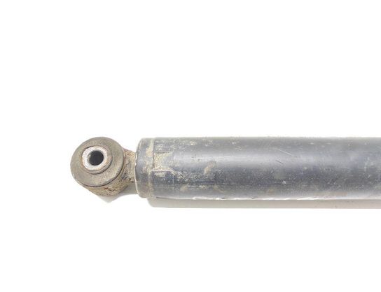 OPEL Vectra C (2002-2005) Aizmugurējais kreisais amortizators 315000331 33031395