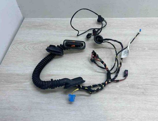 PORSCHE Cayenne 958 (2010-2018) Rear Right Door Wiring 7P5971694B 31414375