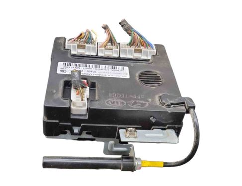 HYUNDAI Santa Fe CM (2006-2013) Imobilaizera vadības bloks 954002B480 29947760