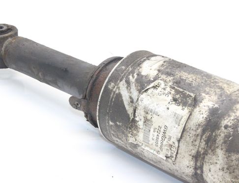 LAND ROVER Range Rover Sport 1 generation (2005-2013) Передний левый пневматический амортизатор 22249855 32977174