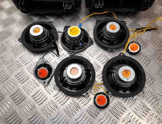 BMW X2 F39 (2017-2023) Усилитель звука 9256350,9256349,2622869,9364956,9368383,9226358 28977673