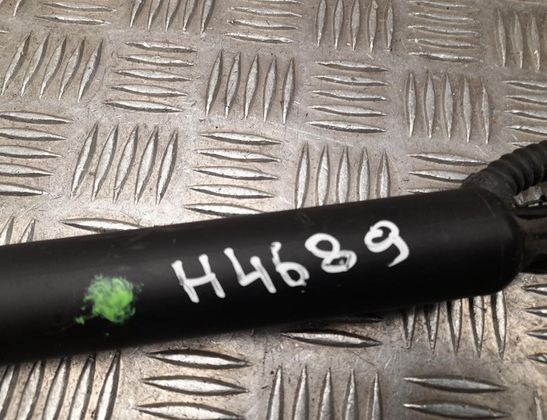 HYUNDAI Kona 1 generation (2017-2024) Aizmugurējā bagāžnieka amartizātors kreisajā pusē 81831BE100 32999602