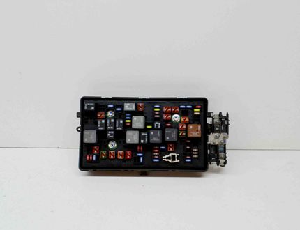 OPEL Insignia A (2008-2016) Fuse box 22933570,13255300,529050199 14645731