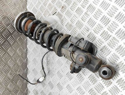 BMW 6 Series F06/F12/F13 (2010-2018) Амортизатор задний правый 6798408,6796192,A2C53380686 29011997