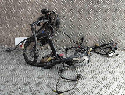 HONDA ST Wiring harness loom 31656524