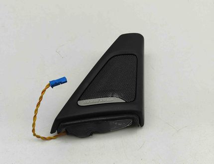 BMW M5 F10 (2011-2016) Priekšējo labo durvju skaļrunis 9184794 31697092