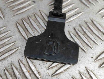 LEXUS GS 2 generation (1997-2004) Fuel Tank Cover Lock 77030-30110 31802133