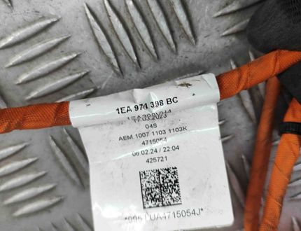 AUDI Q4 Sportback e-tron 1 generation (2021-2024) Жгут проводов 1EA971398BC 31966866