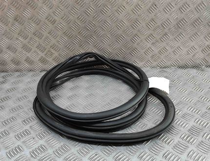 AUDI e-tron 1 generation (2018-2024) Резиновая прокладка передней правой двери 4KE831721 32212404