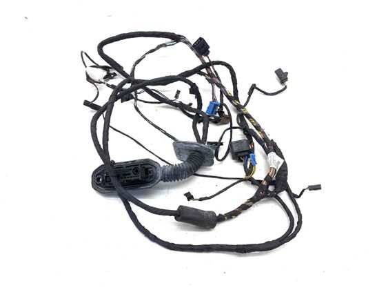 BMW 7 Series F01/F02 (2008-2015) Aizmugurējo labo durvju elektroinstalācija 9147281,9147281-01,9262894 24852154