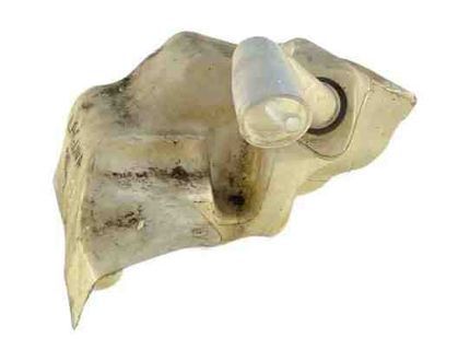 RENAULT Laguna 3 generation (2007-2015) Logu mazgāšanas tvertne 289100002R,289100004R,289100007R 27017824