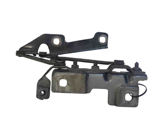 OPEL Insignia A (2008-2016) Priekšējā kreisā pārsega eņģe 13248765 29857073