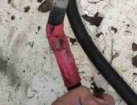 AUDI A4 B8/8K (2011-2016) Jaudas sadales kaste 8J0915459 31489853