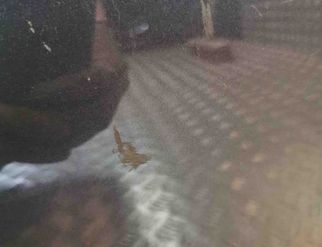 MERCEDES-BENZ C-Class W204/S204/C204 (2004-2015) Rear Right Door A2047320210 18116857