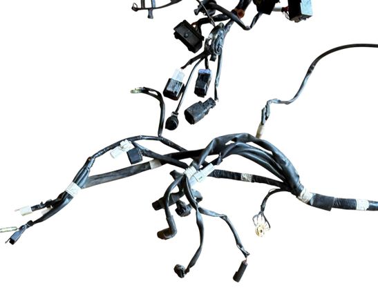 YAMAHA X-MAX Wiring harness loom BL2-H2590-10-2,YS410110-191100695 32575616