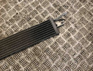 LAND ROVER Range Rover Sport 1 generation (2005-2013) Degvielas dzesētājs (radiators) 7h329n103ab 32388915