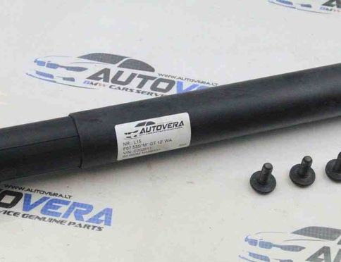 BMW 5 Series Gran Turismo F07 (2010-2017) Aizmugurējā bagāžnieka amartizātors labajā pusē 7200543 30976608