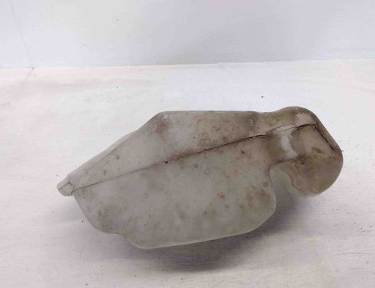 RENAULT Laguna 3 generation (2007-2015) Logu mazgāšanas tvertne 289100001N 27651798